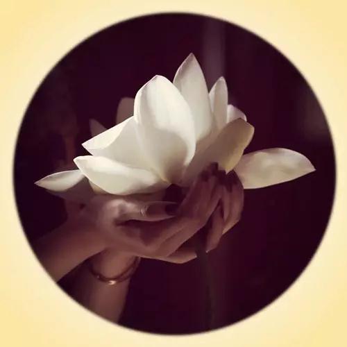 微信图片_20181122222358.jpg 微信图片_20181122222358.jpg